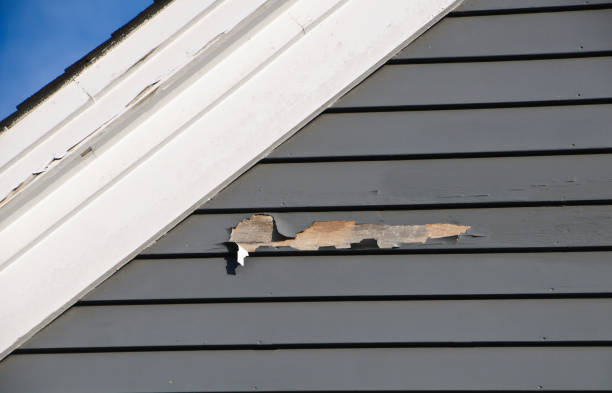 Best Attic Cleanout  in Rushville, NE